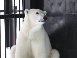 帯広動物園