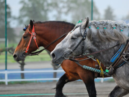 帯広競馬場